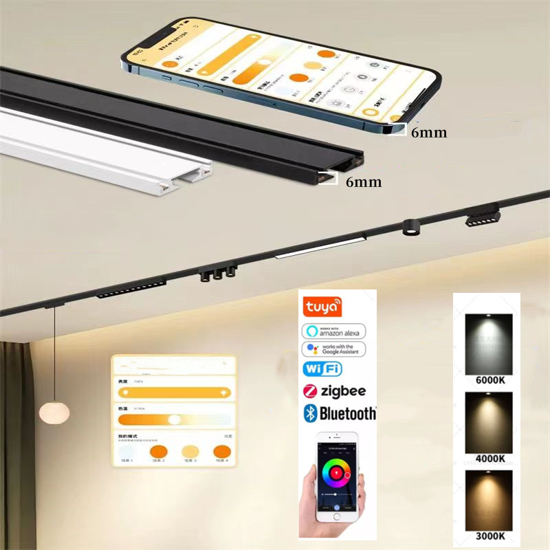 Outdoor Lighting Track - Tuya Smart Home-sistema de luz de